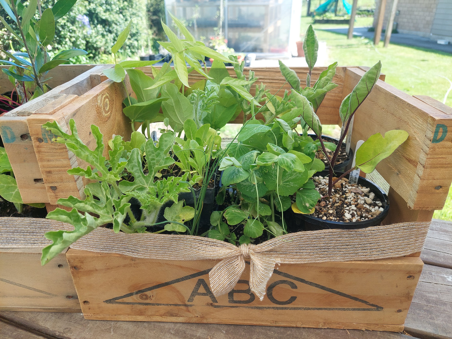 Gift Hamper