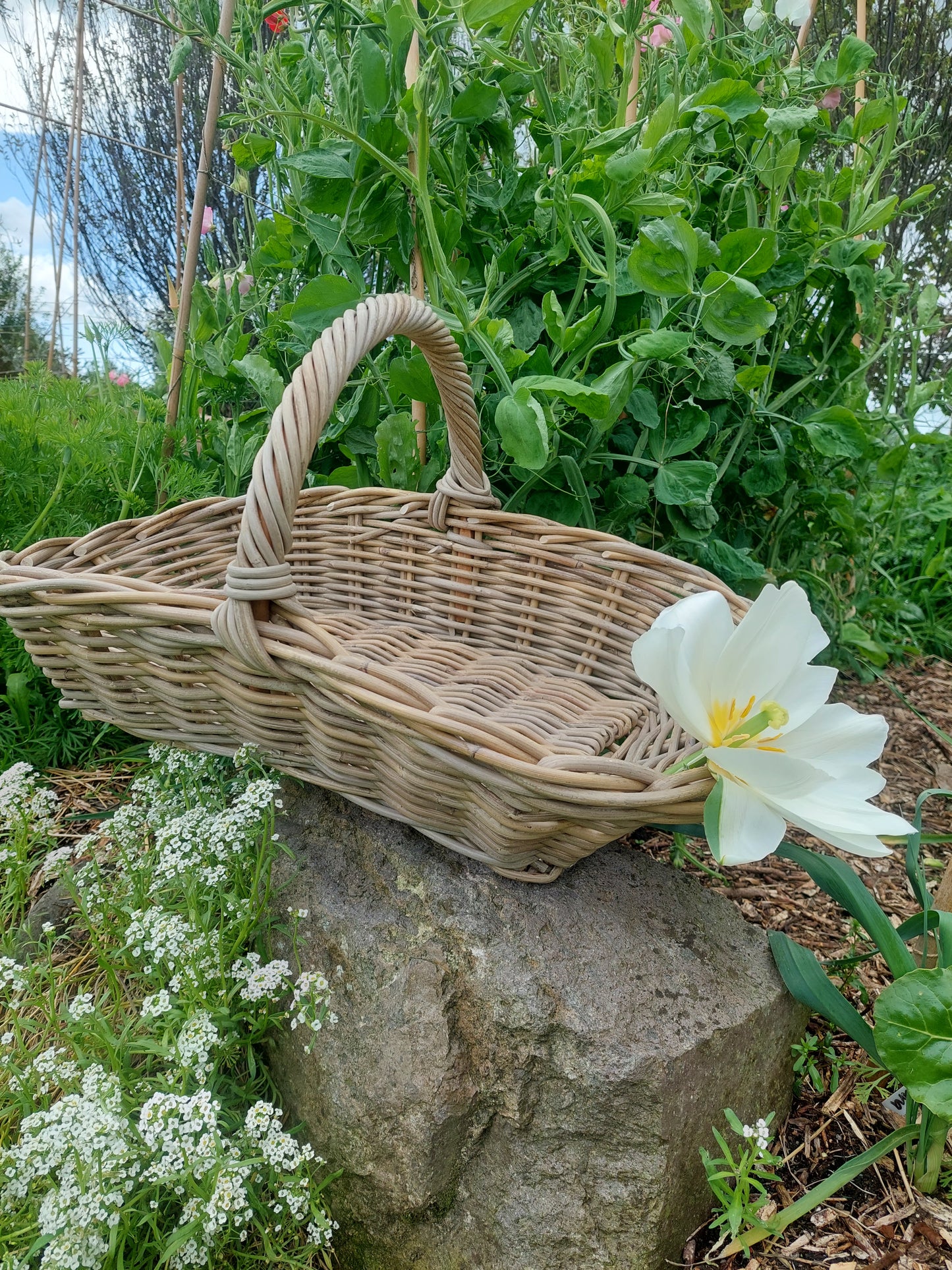 The Flower Farmer