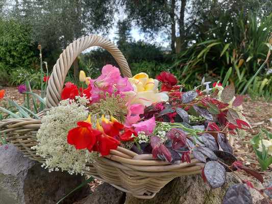 The Flower Farmer