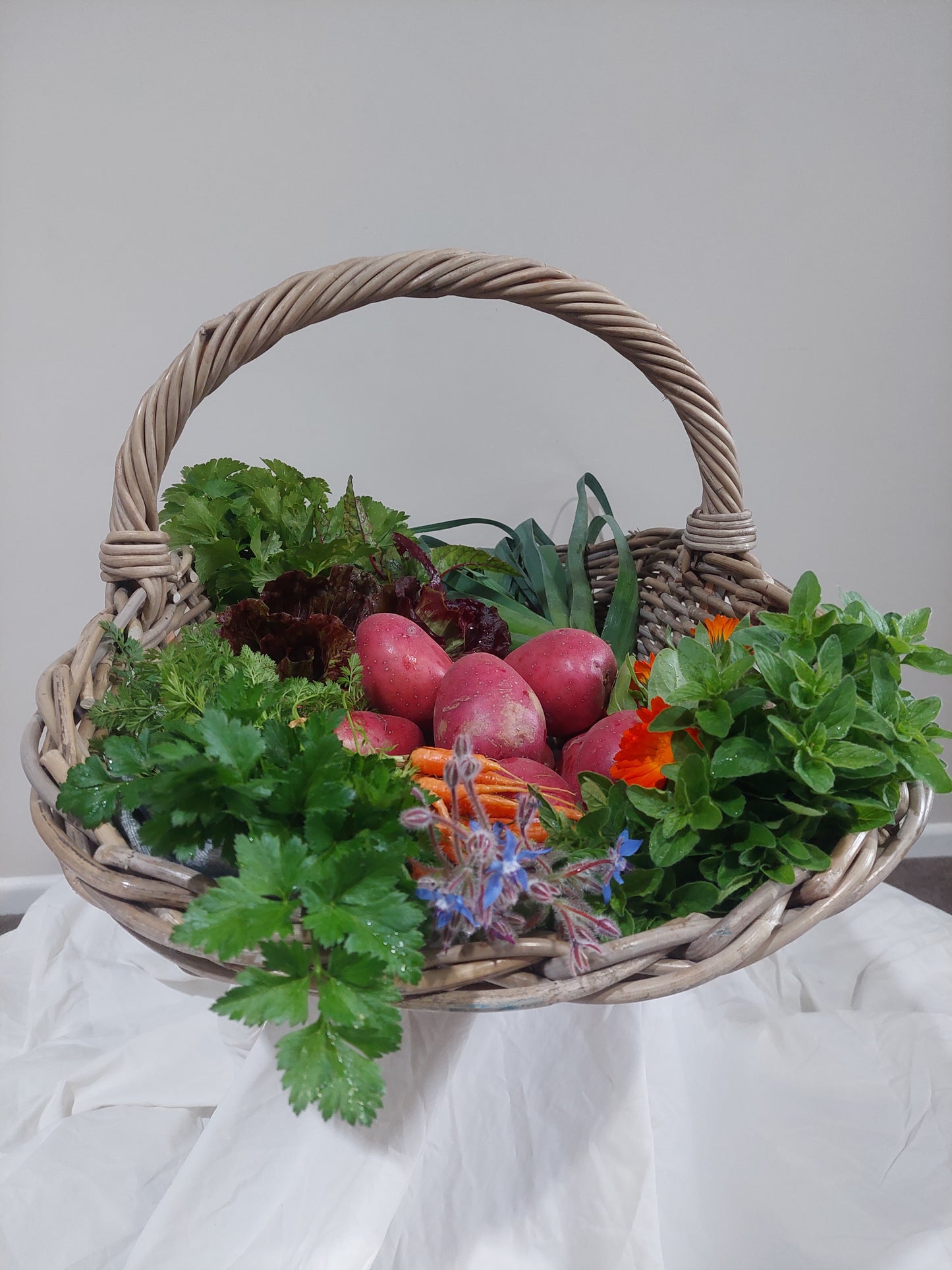 The Gatherer Basket