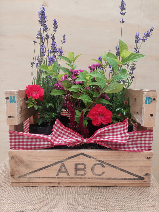 Gift Hamper