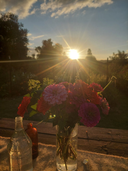 Sip & Snip Flowers