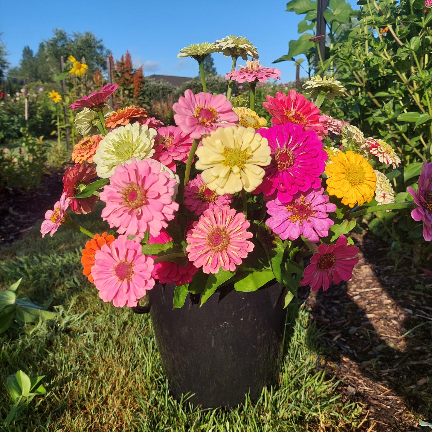 Private Picking Party š