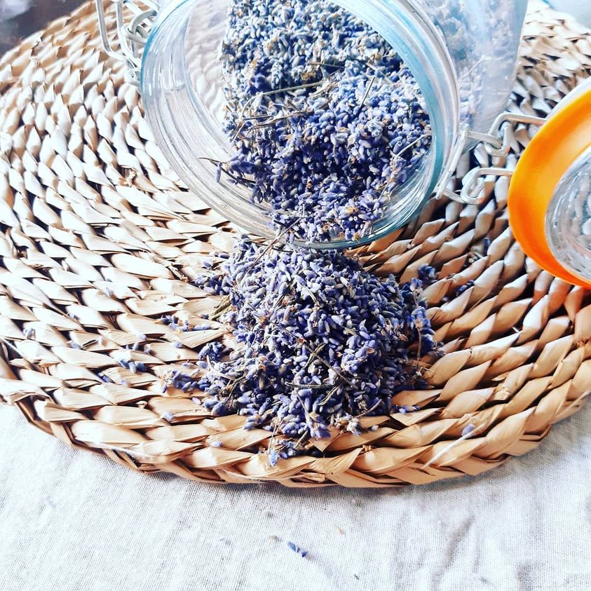 Dried lavender Munstead