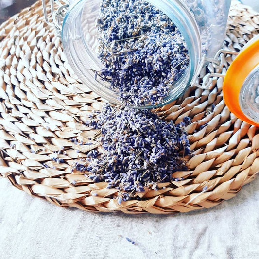 Dried lavender Munstead