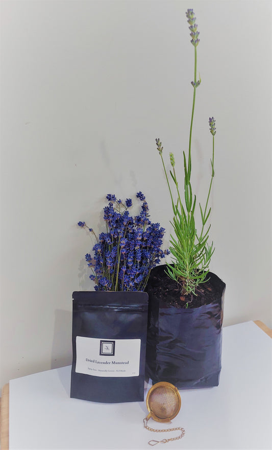 Lavender Tea Bundle
