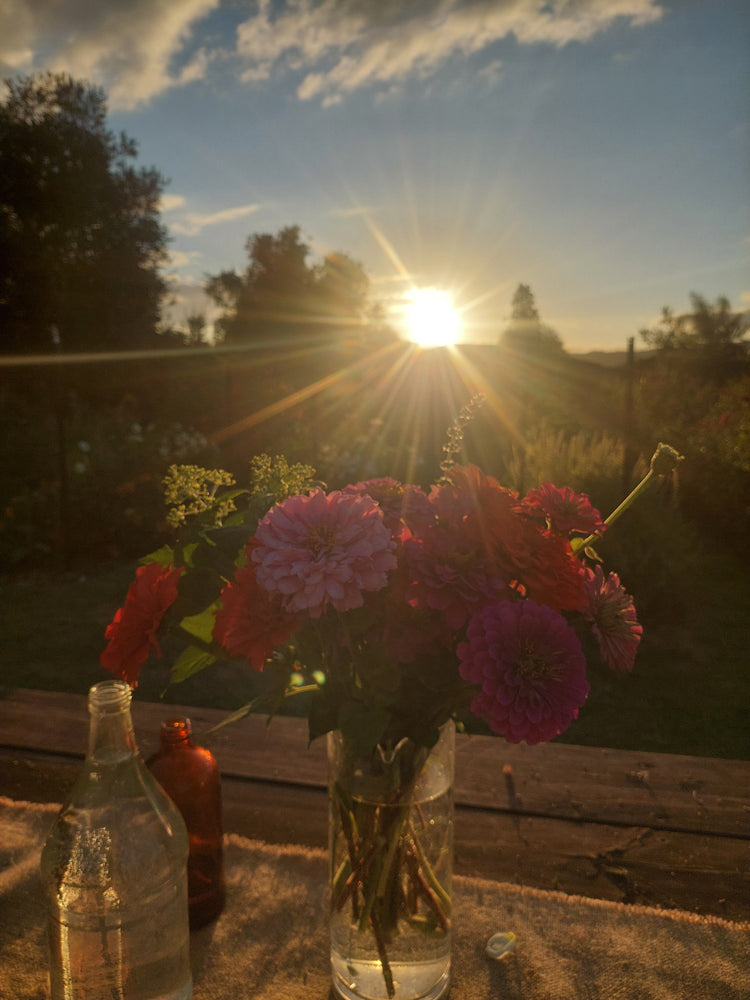 Events at Whyte Light Flowers