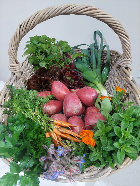The Gatherer Basket