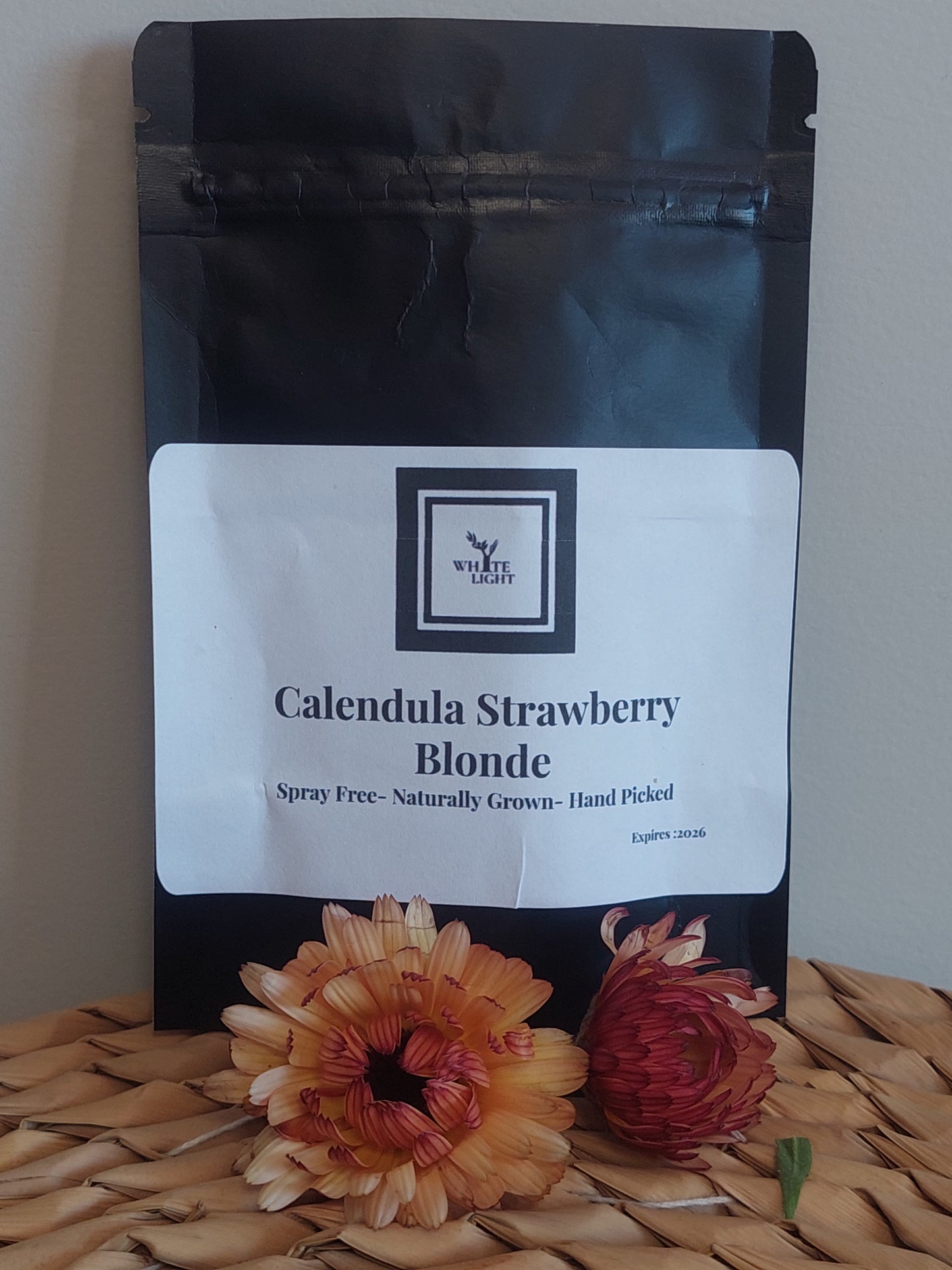 Calendula Strawberry Blonde