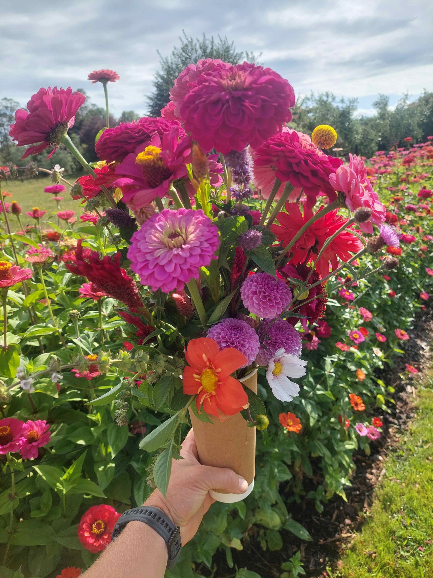 Yoga in the blooms Twilight- February 20th