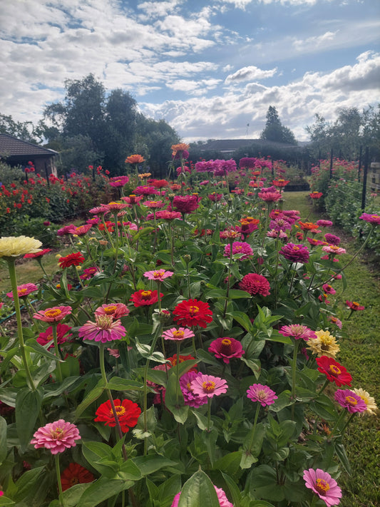 School Holiday Bloom & Create Session