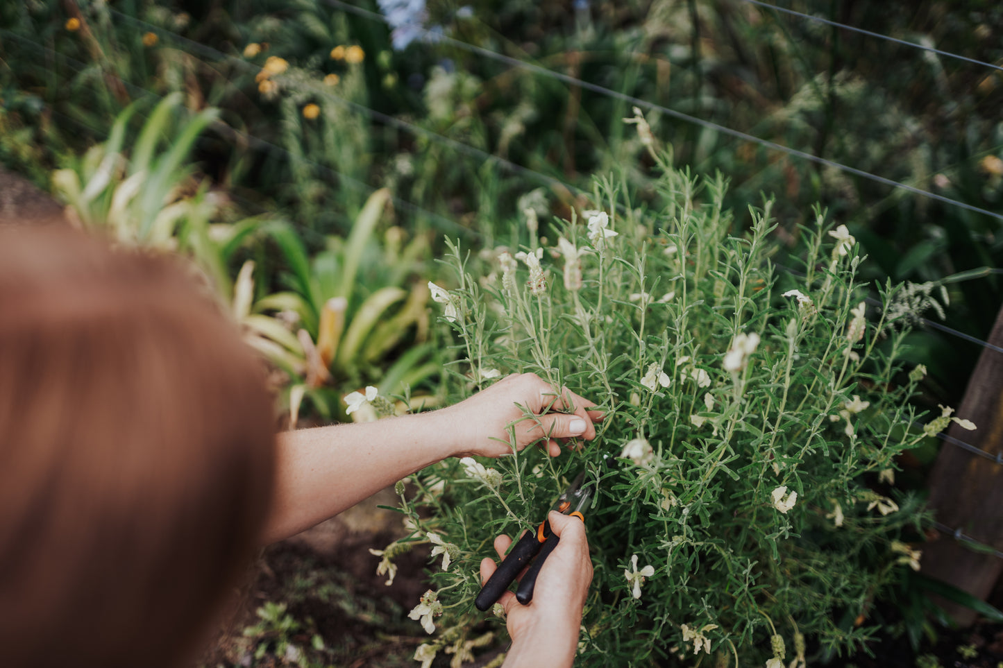 How to Make More Plants Workshop