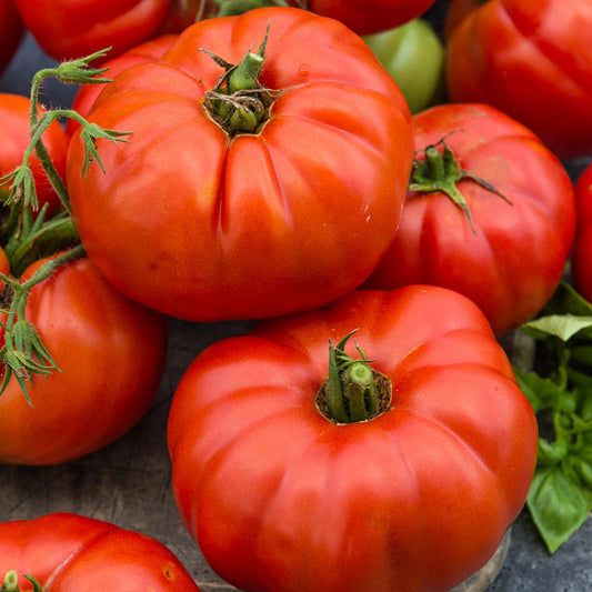 Tomato Beef Steak